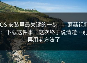 iOS 安装里最关键的一步——蘑菇视频：下载这件事｜这次终于说清楚…别再用老方法了